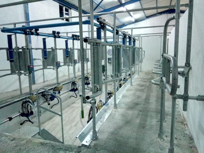 Sala de muls vaci tip "Brăduleț", cu Retragere Automată [2]