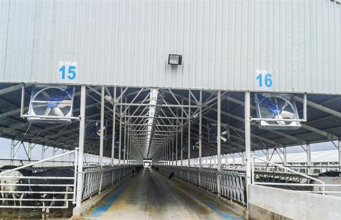 Ventilator grajd HF-1 [4]