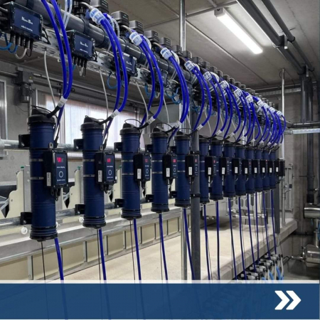 Modernizări ferme zootehnice - INTERPULS - Configurații complete pentru instalații de muls