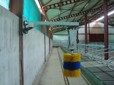Perie scărpinare automată pentru bovine [3]
