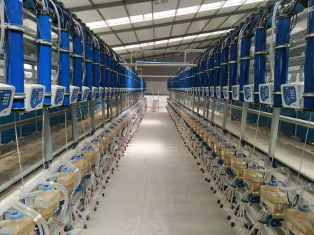 Instalatii de muls oi/capre - Sala de muls oi-capre, cu Ieșire Rapidă, cu Managementul Cirezii