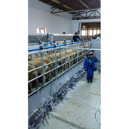 Sala de muls oi-capre, cu Ieșire Rapidă, standard [1]