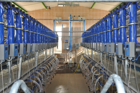 Săli de muls (sisteme) - Sala de muls oi-capre, În Linie, Compatibilă cu Managementul Cirezii