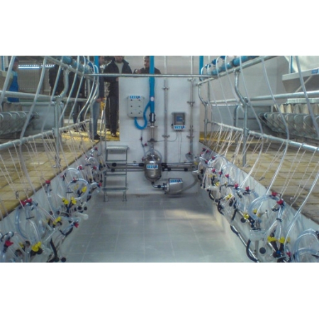 Instalatii de muls oi/capre - Sala de muls oi-capre, În Linie, standard
