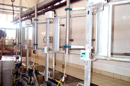 Sala de muls vaci tip "Brăduleț", cu Pulsatoare Electronice [3]