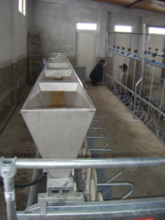 Stand blocare și hrănire oi, capre, cu Ieșire Rapidă [2]