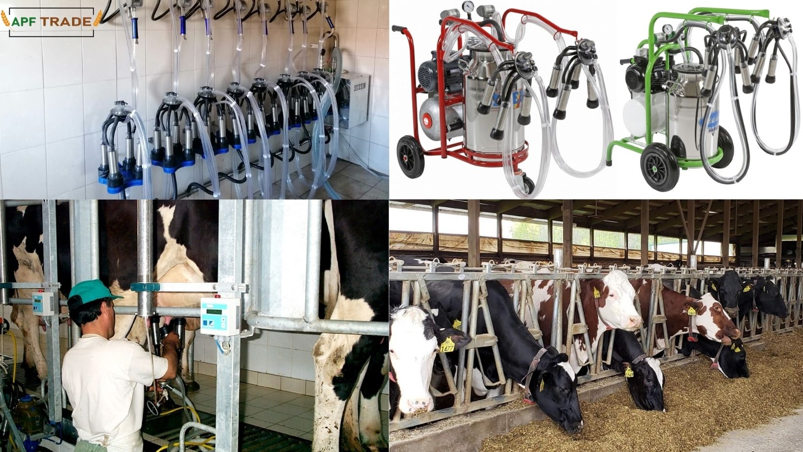 Instalații de muls vaci
