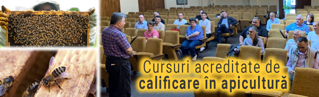 Cursuri de calificare