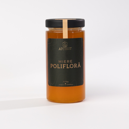 Chintesente - Miere Polifloră Apivest 670g