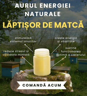 Laptisor de matca