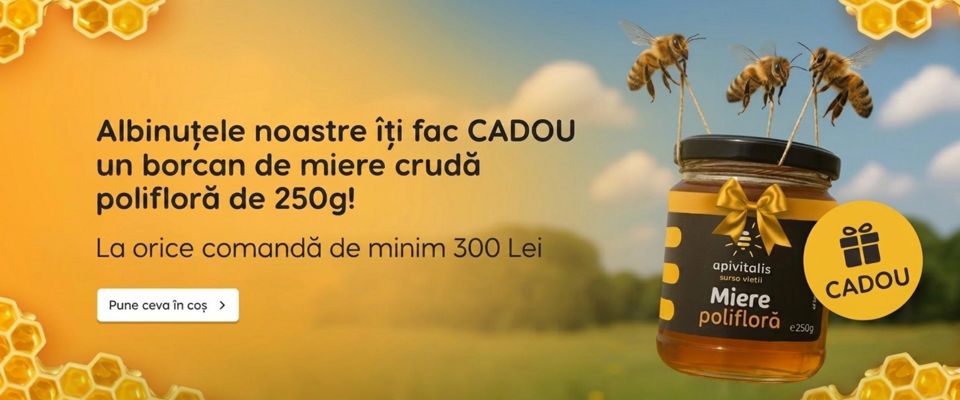 Cadou miere 250g