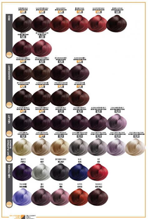 Catalog Culoare Vopsele Profesionale EVOQUE USA – 116 Nuante Disponibile (fara amoniac) [6]