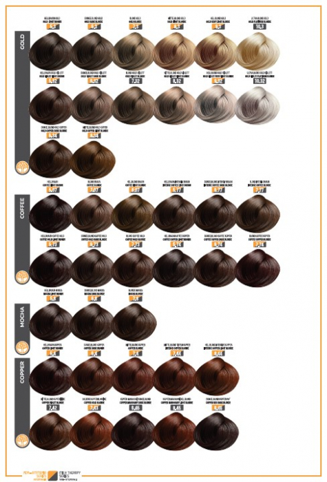 Catalog Culoare Vopsele Profesionale EVOQUE USA – 116 Nuante Disponibile (fara amoniac) [5]