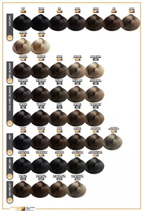 Catalog Culoare Vopsele Profesionale EVOQUE USA – 116 Nuante Disponibile (fara amoniac) [4]