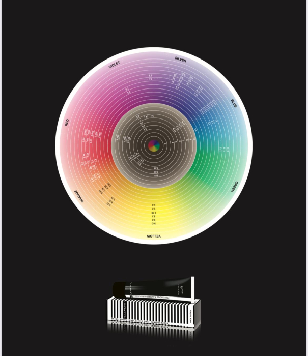 CATALOG NUANTE VOPSEA PROFESIONALA ELEMENT [6]