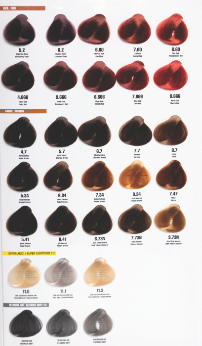 CATALOG NUANTE VOPSEA PROFESIONALA ELEMENT [4]