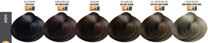 Vopsea Profesionala Fara Amoniac EVOQUE USA, Nuanta 10.1 LIGHTEST BLONDE ASH – Cu Ulei de Argan si 12 Aminoacizi, 100 ml - Evoque [3]