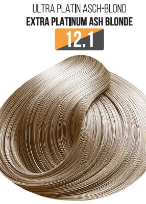 Vopsea Profesionala Fara Amoniac EVOQUE USA, Nuanta 12.1 VERY PLATINUM ASH BLONDE ,   Cu Ulei de Argan si 12 Aminoacizi, 100 ml - Evoque