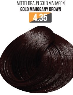 Vopsea Profesionala Fara Amoniac EVOQUE USA, Nuanta 4.35 GOLD MAHOGANI BROWN ,   Cu Ulei de Argan si 12 Aminoacizi, 100 ml - Evoque