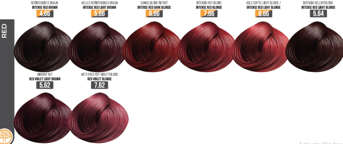 Vopsea Profesionala Fara Amoniac EVOQUE USA, Nuanta 4.66 INTENSE RED BROWN – Cu Ulei de Argan si 12 Aminoacizi, 100 ml - E [3]