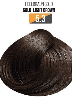 Vopsea Profesionala Fara Amoniac EVOQUE USA, Nuanta 5.3 GOLD LIGHT BLONDE ,   Cu Ulei de Argan si 12 Aminoacizi, 100 ml - Evoque