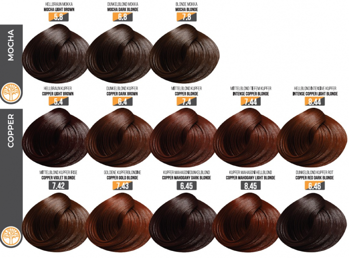 Vopsea Profesionala Fara Amoniac EVOQUE USA, Nuanta 5.4 COPPER LIGHT BROWN – Cu Ulei de Argan si 12 Aminoacizi, 100 ml - Evoque [3]