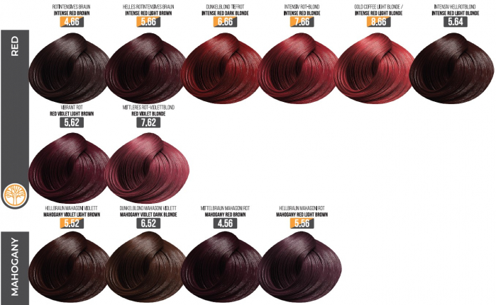 Vopsea Profesionala Fara Amoniac EVOQUE USA, Nuanta 5.66 INTENSE RED LIGHT BROWN – Cu Ulei de Argan si 12 Aminoacizi, 100 ml - Evoque [3]