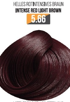 Vopsea Profesionala Fara Amoniac EVOQUE USA, Nuanta 5.66 INTENSE RED LIGHT BROWN ,   Cu Ulei de Argan si 12 Aminoacizi, 100 ml - Evoque