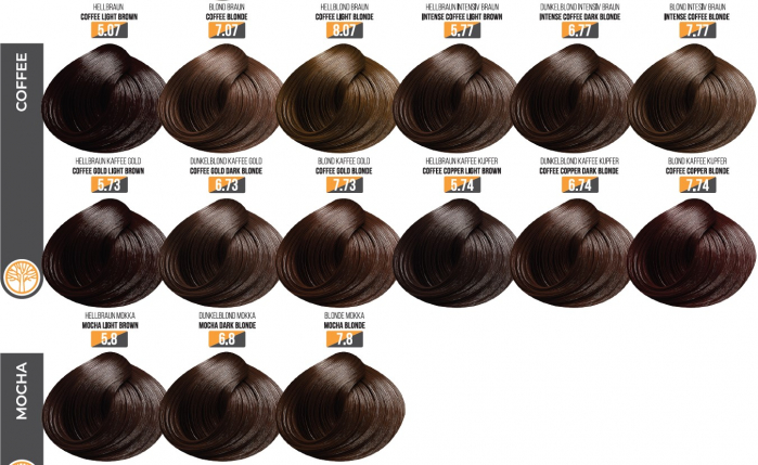 Vopsea Profesionala Fara Amoniac EVOQUE USA, Nuanta 5.8 MOCHA LIGHT BROWN – Cu Ulei de Argan si 12 Aminoacizi, 100 ml - Evoque [3]