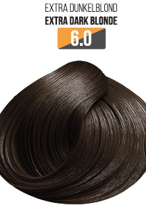 Vopsea Profesionala Fara Amoniac EVOQUE USA, Nuanta 6.0 Blond Extra Inchis ,   Cu Ulei de Argan si 12 Aminoacizi, 100 ml - Evoque