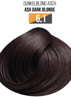 Vopsea Profesionala Fara Amoniac EVOQUE USA, Nuanta 6.1 ASH DARK BLONDE ,   Cu Ulei de Argan si 12 Aminoacizi, 100 ml - Evoque