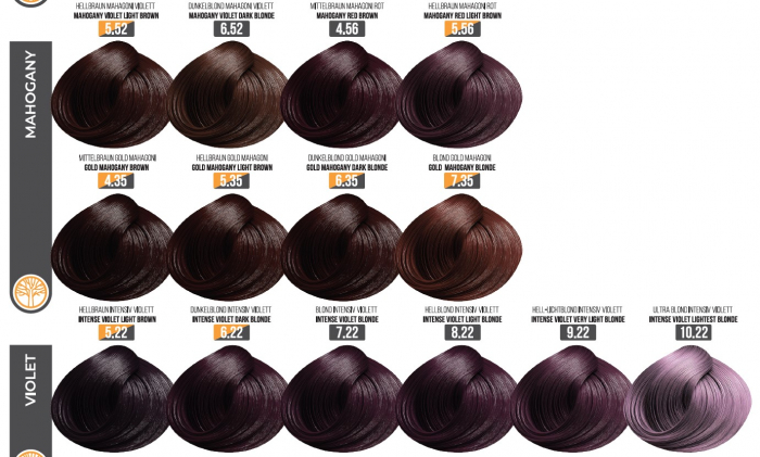 Vopsea Profesionala Fara Amoniac EVOQUE USA, Nuanta 6.22 INTENSE VIOLET DARK BLONDE – Cu Ulei de Argan si 12 Aminoacizi, 100 ml - Evoque [3]