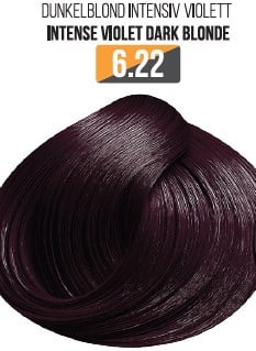 Vopsea Profesionala Fara Amoniac EVOQUE USA, Nuanta 6.22 INTENSE VIOLET DARK BLONDE ,   Cu Ulei de Argan si 12 Aminoacizi, 100 ml - Evoque
