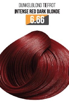 Vopsea Profesionala Fara Amoniac EVOQUE USA, Nuanta 6.66 INTENSE RED DARK BLONDE ,   Cu Ulei de Argan si 12 Aminoacizi, 100 ml - Evoque