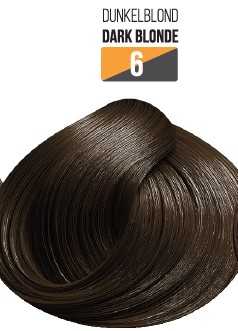 Vopsea Profesionala Fara Amoniac EVOQUE USA, Nuanta 6 Dark Blonde ,   Cu Ulei de Argan si 12 Aminoacizi, 100 ml - Evoque