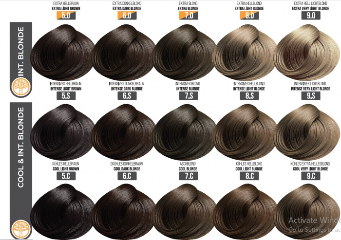 Vopsea Profesionala Fara Amoniac EVOQUE USA, Nuanta 7.0 Blond Extra – Cu Ulei de Argan si 12 Aminoacizi, 100 ml - Evoque [3]