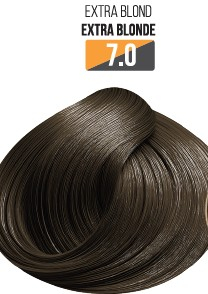 Vopsea Profesionala Fara Amoniac EVOQUE USA, Nuanta 7.0 Blond Extra ,   Cu Ulei de Argan si 12 Aminoacizi, 100 ml - Evoque