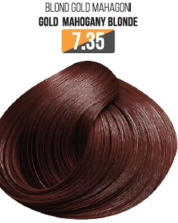 Vopsea Profesionala Fara Amoniac EVOQUE USA, Nuanta 7.35 GOLD MAHOGANI BLONDE ,   Cu Ulei de Argan si 12 Aminoacizi, 100 ml - Evoque