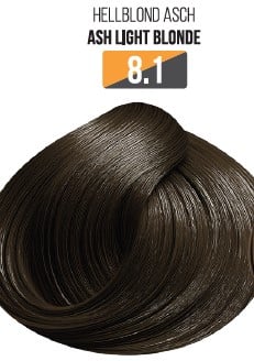 Vopsea Profesionala Fara Amoniac EVOQUE USA, Nuanta 8.1 ASH LIGHT BLONDE ,   Cu Ulei de Argan si 12 Aminoacizi, 100 ml - Evoque