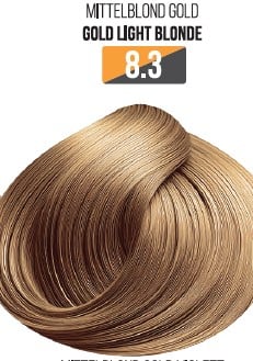 Vopsea Profesionala Fara Amoniac EVOQUE USA, Nuanta 8.3 GOLD LIGHT BLONDE ,   Cu Ulei de Argan si 12 Aminoacizi, 100 ml - Evoque