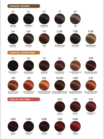 CATALOG NUANTE VOPSEA PROFESIONALA ELEMENT [3]