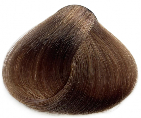 Vopsea de par Profesionala ELEMENT 8.13, 100 Ml, Light Beige Blonde [1]