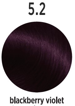 Vopsea permanenta - Vopsea de par Profesionala ELEMENT Blackberry Violet 5.2 - 100Ml
