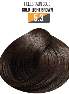 Vopsea Profesionala Fara Amoniac EVOQUE USA, Nuanta 5.3 GOLD LIGHT BLONDE – Cu Ulei de Argan si 12 Aminoacizi, 100 ml - Evoque [0]