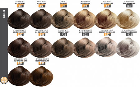 Vopsea Profesionala Fara Amoniac EVOQUE USA, Nuanta 5.32 GOLD VIOLET LIGHT BROWN – Cu Ulei de Argan si 12 Aminoacizi, 100 ml - Evoque [2]