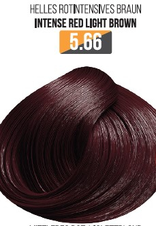 Vopsea - Vopsea Profesionala Fara Amoniac EVOQUE USA, Nuanta 5.66 INTENSE RED LIGHT BROWN – Cu Ulei de Argan si 12 Aminoacizi, 100 ml - Evoque