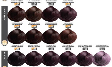 Vopsea Profesionala Fara Amoniac EVOQUE USA, Nuanta 6.22 INTENSE VIOLET DARK BLONDE – Cu Ulei de Argan si 12 Aminoacizi, 100 ml - Evoque [2]