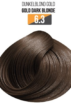 Vopsea - Vopsea Profesionala Fara Amoniac EVOQUE USA, Nuanta 6.3 GOLD DARK BLONDE – Cu Ulei de Argan si 12 Aminoacizi, 100 ml - Evoque