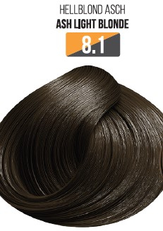 Vopsea fara amoniac - Vopsea Profesionala Fara Amoniac EVOQUE USA, Nuanta 8.1 ASH LIGHT BLONDE – Cu Ulei de Argan si 12 Aminoacizi, 100 ml - Evoque