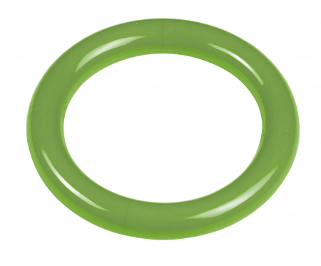 Jocuri de apa - Inel pentru scufundari Basic,Verde
